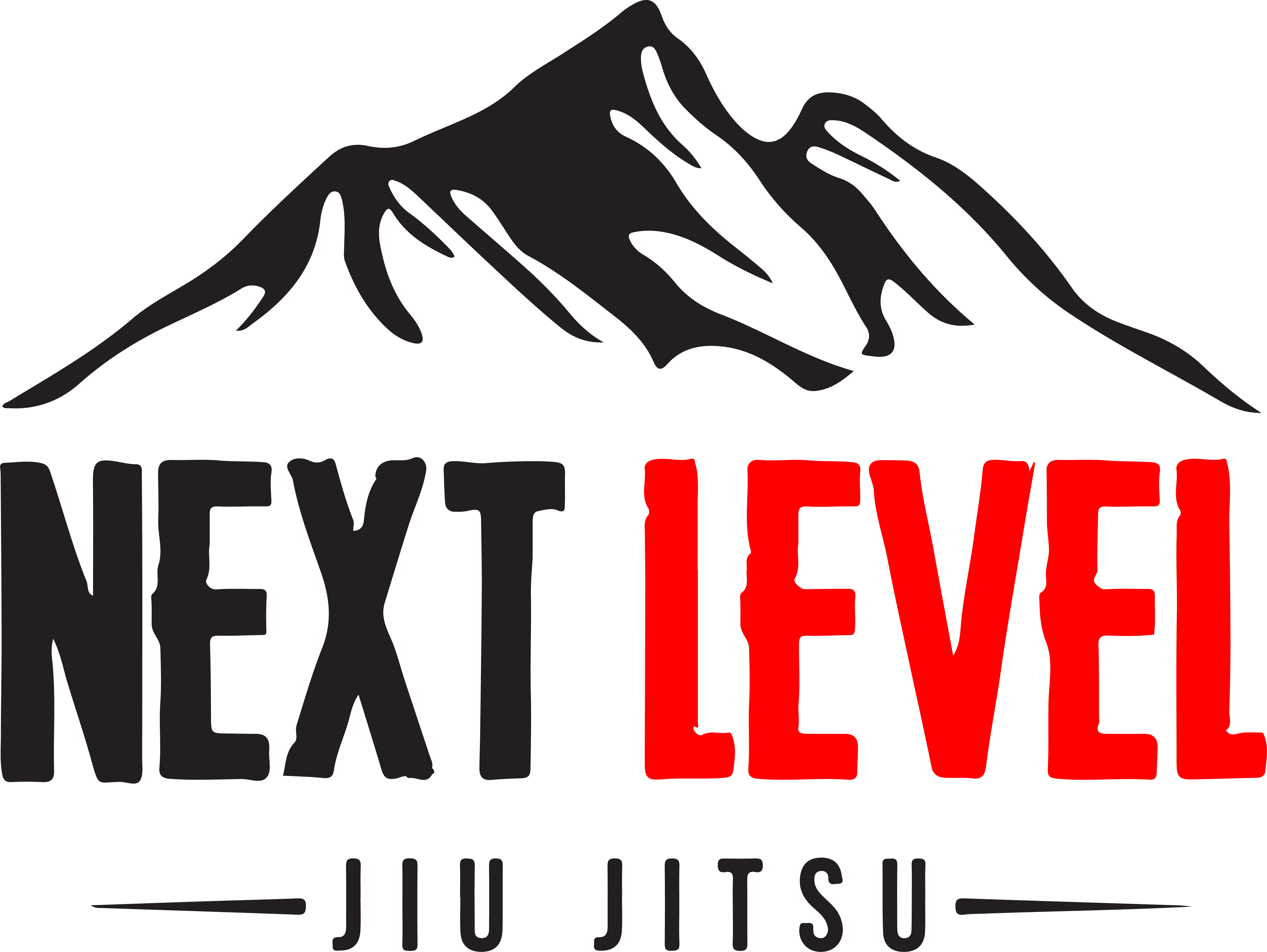 Next Level Jiu-Jitsu Sherman, TX