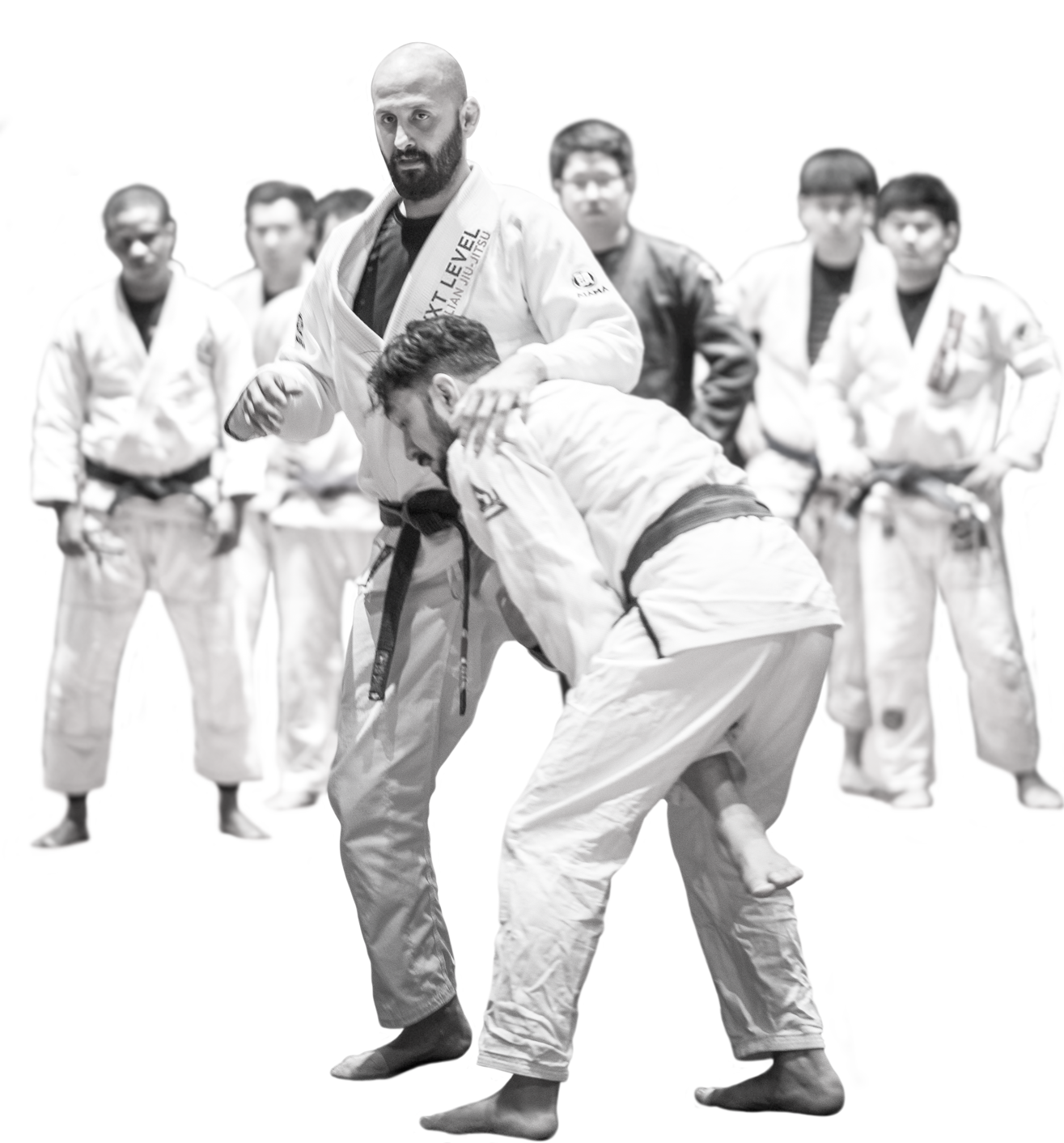 Next Level BJJ Group Training