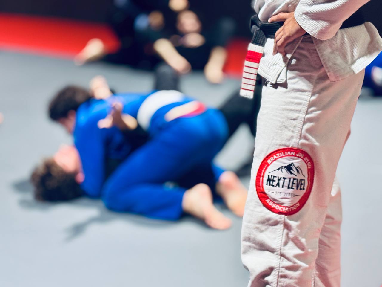 Annecy Seminar Action